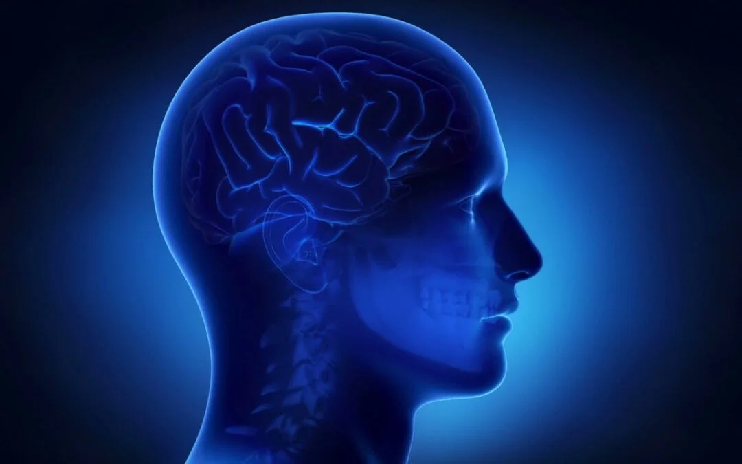The Difference Between The Subconscious Mind & Conscious Mind