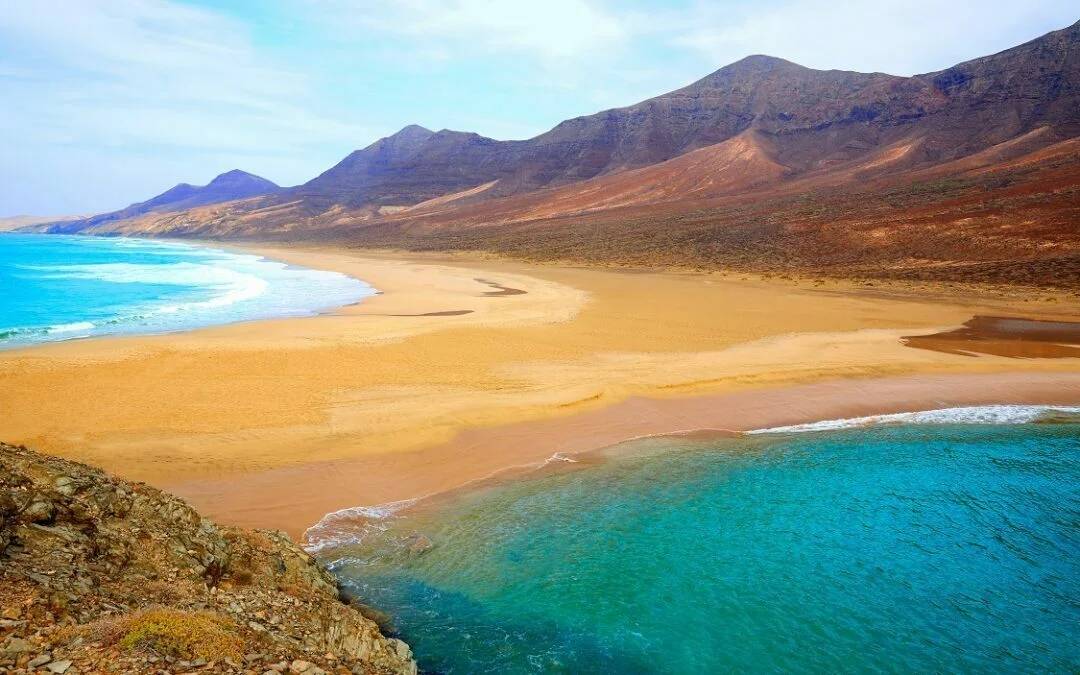 Best Ayahuasca Retreats In The Canary Islands