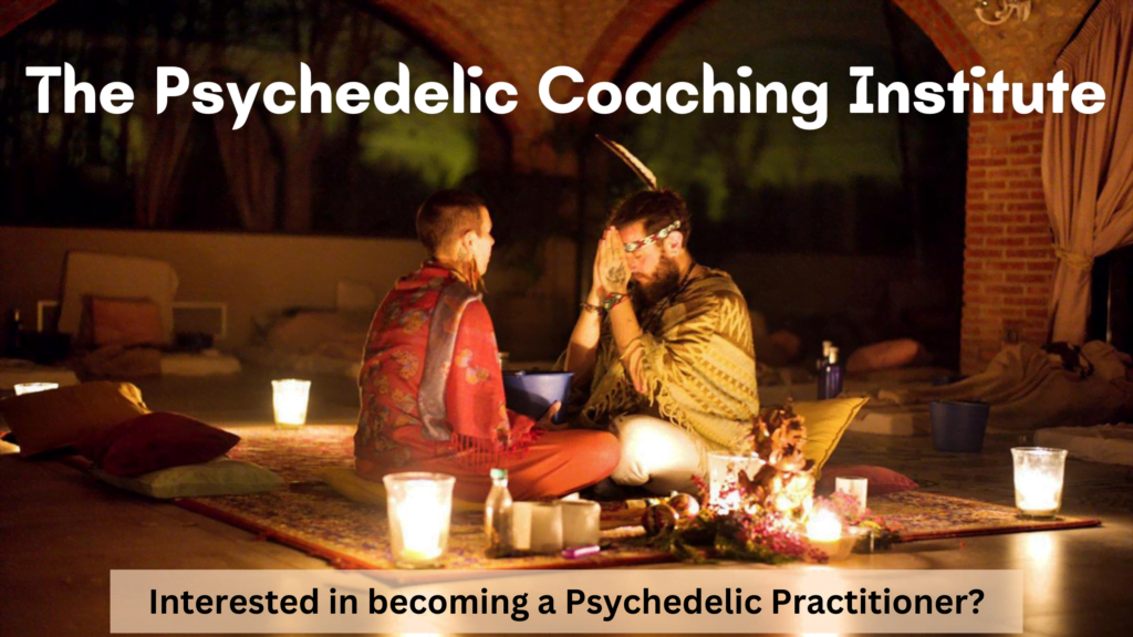 Psychedelic Coaching Institute